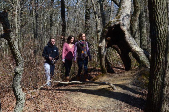 birch grove park